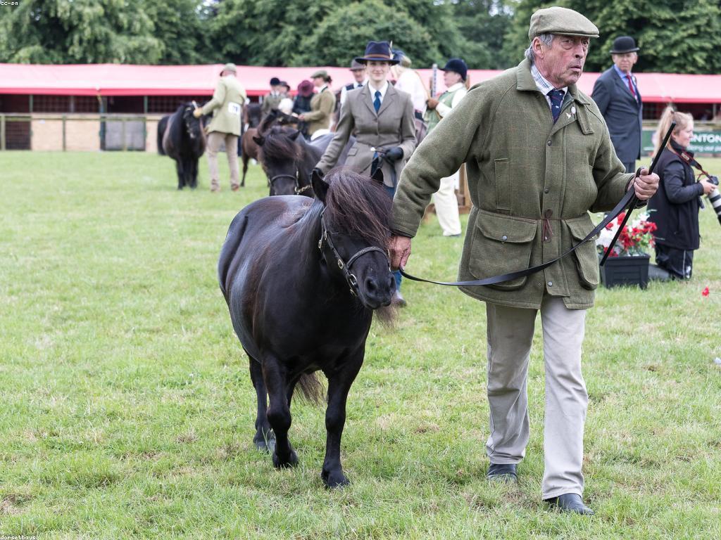យុទ្ធសាស្ត្រ​ដើម្បី​ឈ្នះ​ការប្រកួត​និង​ពាន​រង្វាន់