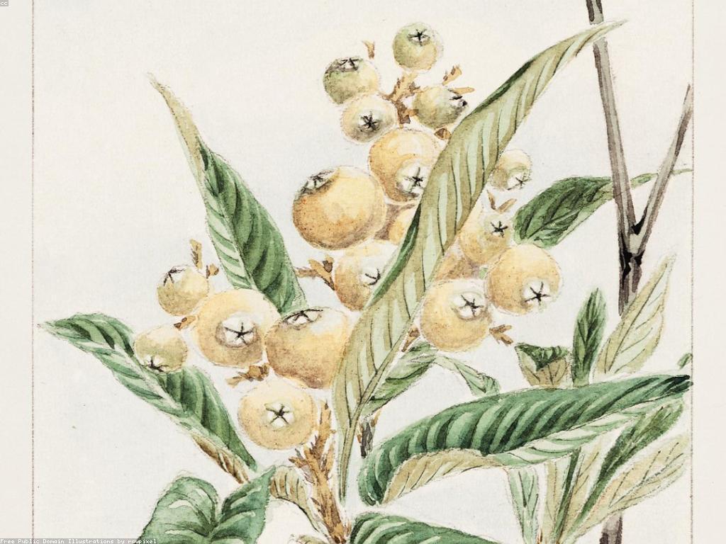 ឧបករណ៍និងឧបាយសិល្បៈក្នុងការបង្កើតសិល្បៈ