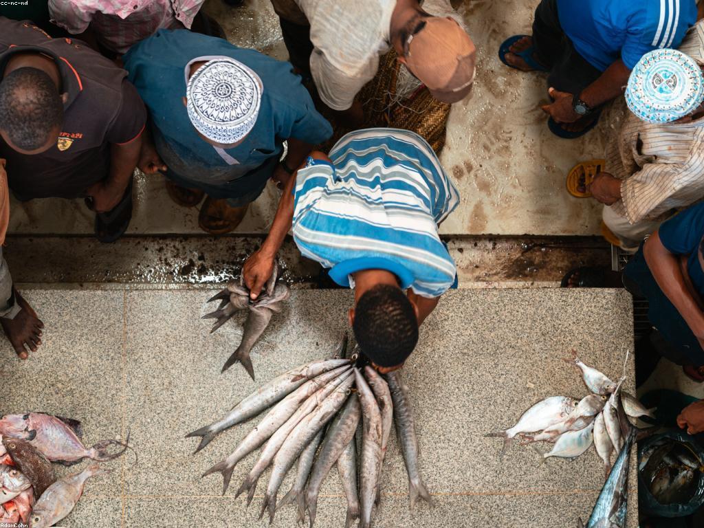 ប្រភេទត្រីនិងសន្លឹកពាណិជ្ជកម្ម