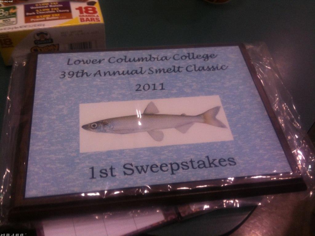 ការប្រកួតនិងពានរង្វាន់នៅក្នុងទីផ្សារត្រី