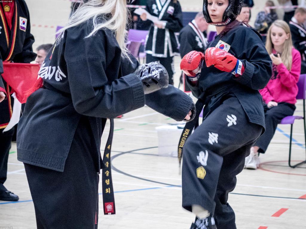 ឧបករណ៍និងឧបាយសិល្បៈក្នុងការបង្កើតសិល្បៈ