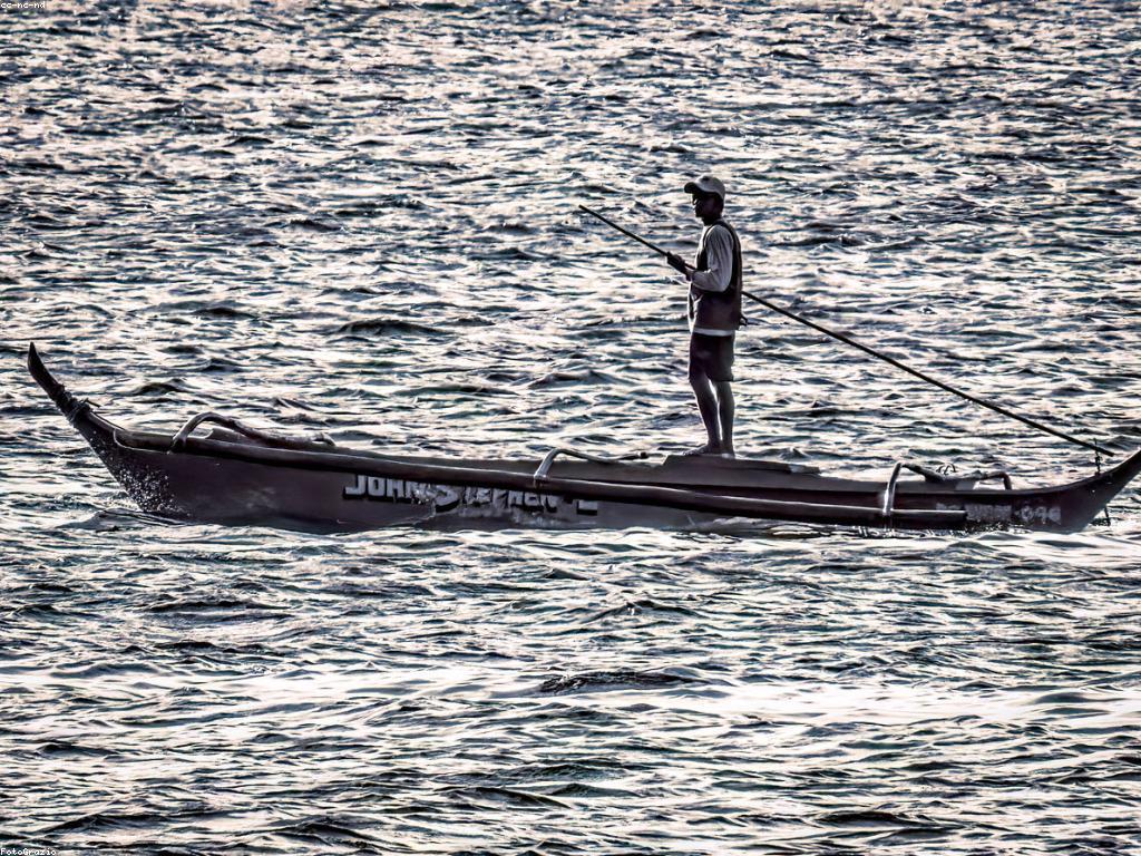 នាវាការងារថ្មីក្នុងឧស្សាហកម្មត្រី
