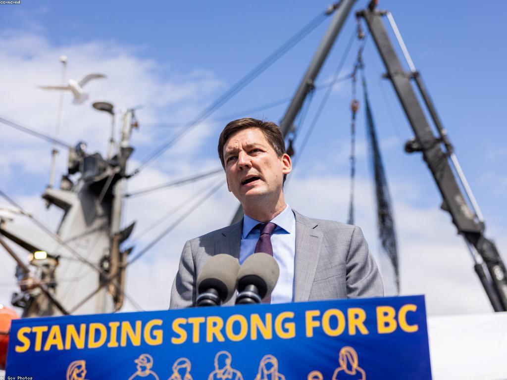 ការស្វែងយល់អំពីប្រភេទត្រី និងសន្លឹកពាណិជ្ជកម្ម