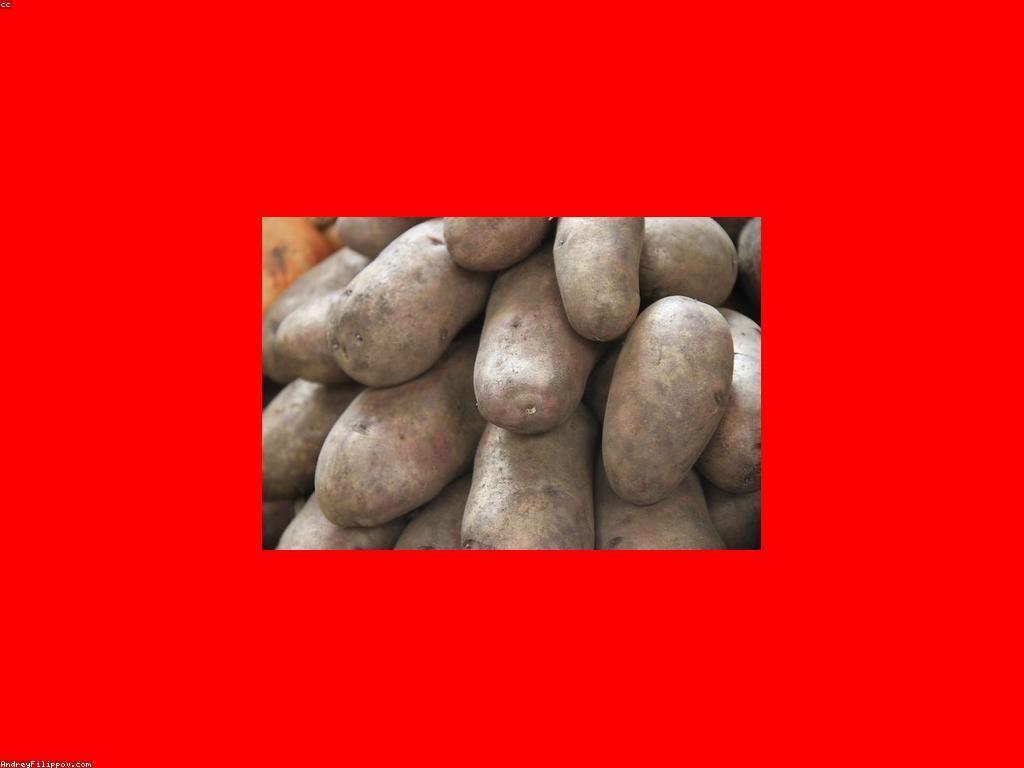 ការស្វែងយល់អំពីប្រភេទត្រី និងសន្លឹកពាណិជ្ជកម្ម